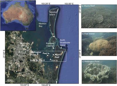 Unraveling Moreton Bay reef history: An urban high-latitude setting for coral development